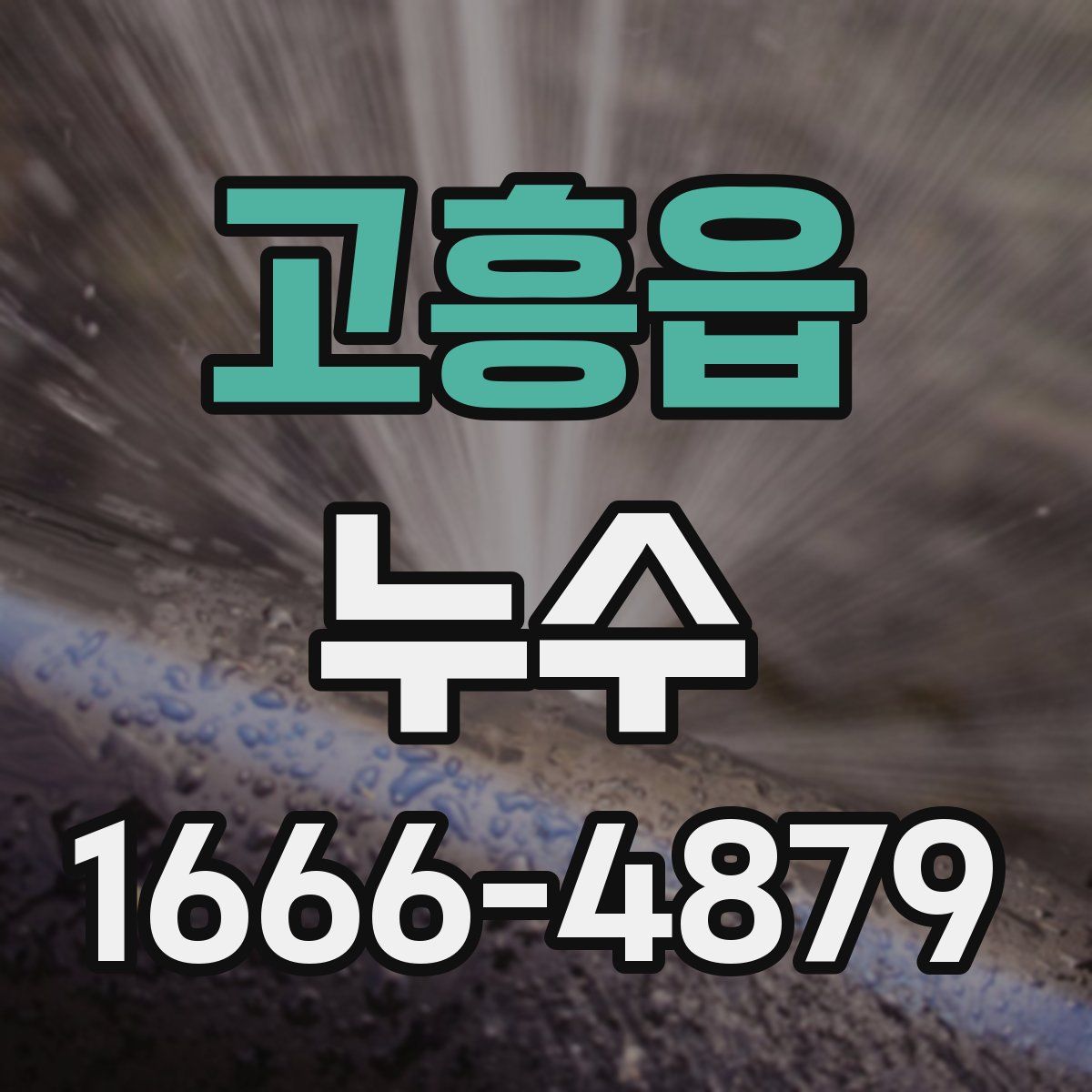 고흥읍 누수