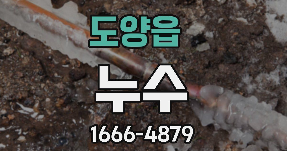 도양읍 누수