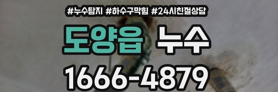도양읍 누수