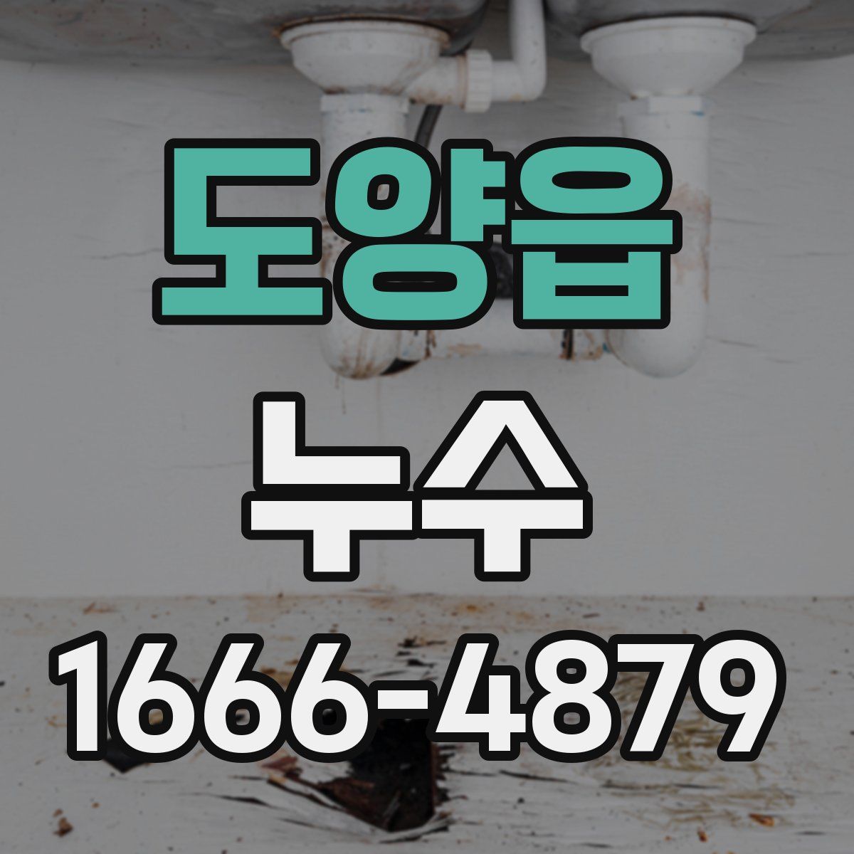 도양읍 누수