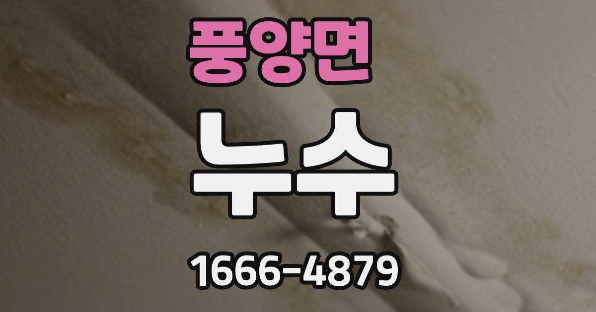 풍양면 누수