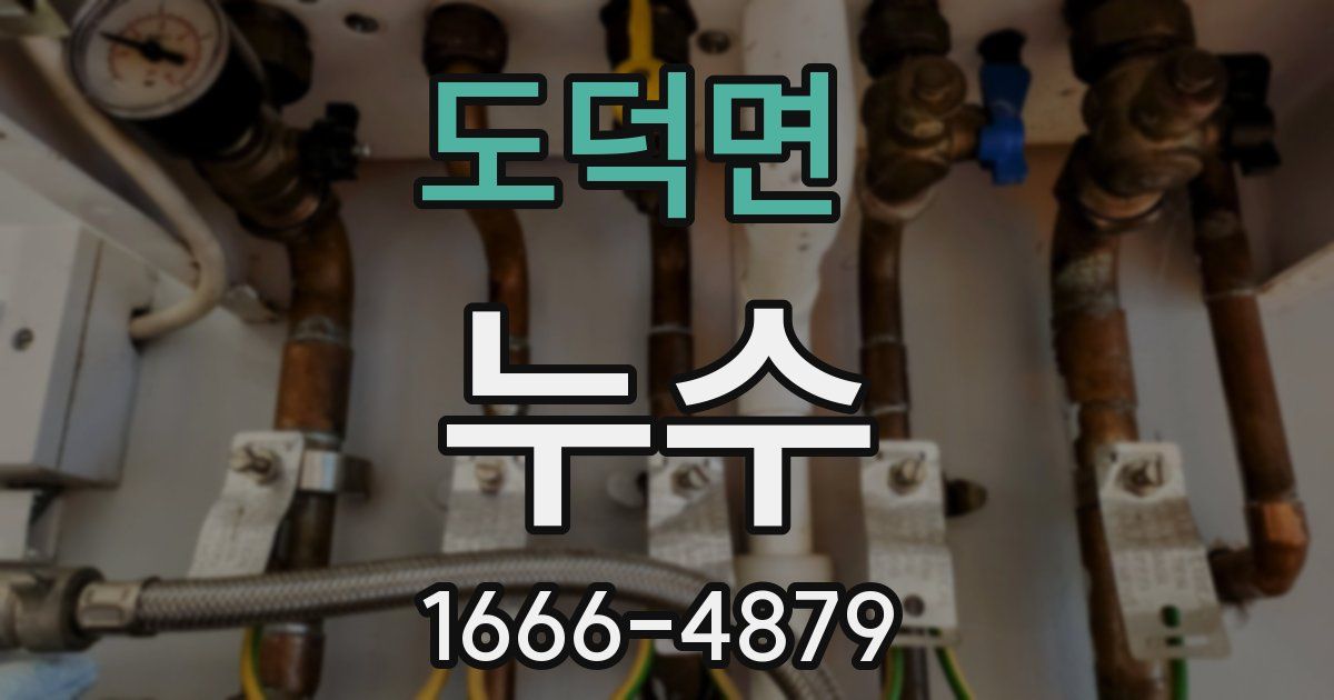 도덕면 누수