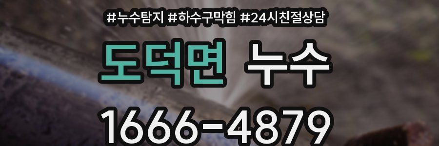 도덕면 누수