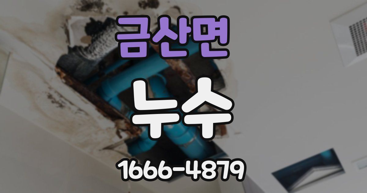 금산면 누수