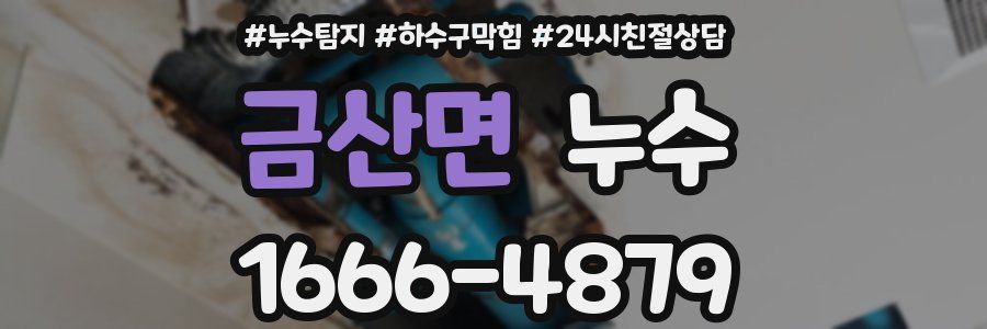 금산면 누수