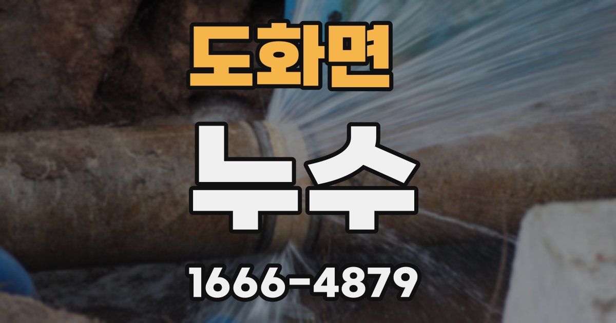 도화면 누수