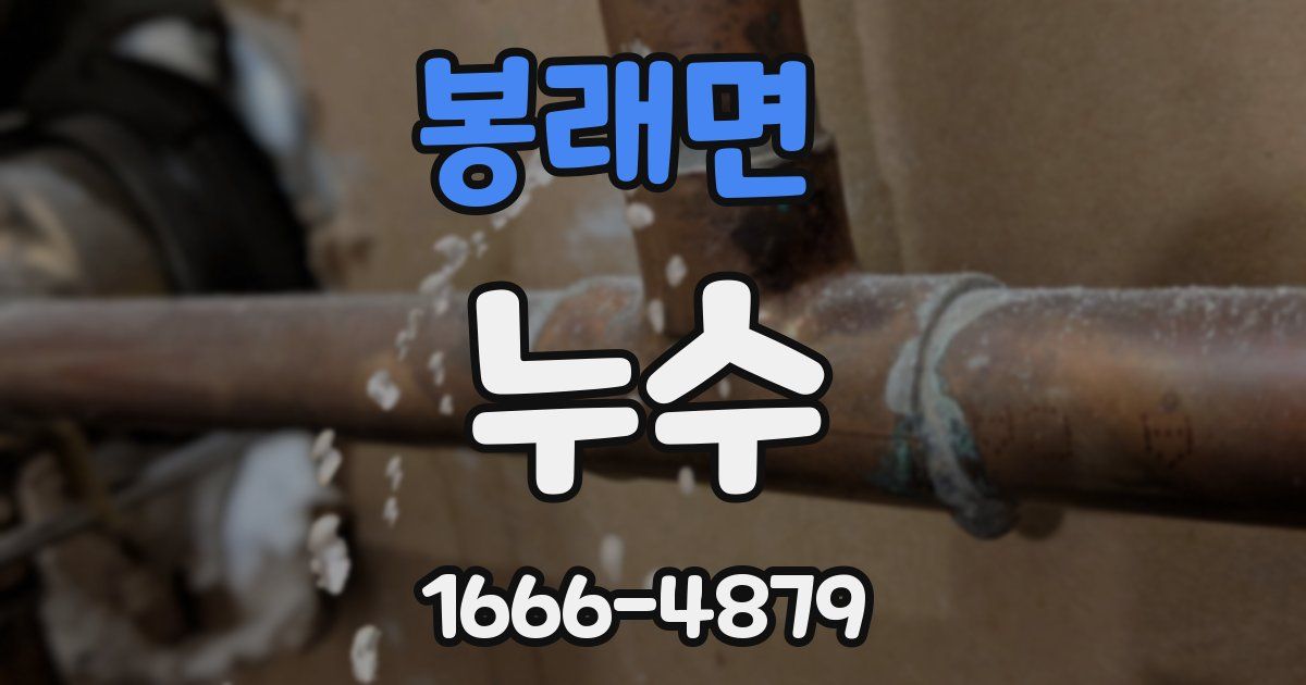 봉래면 누수