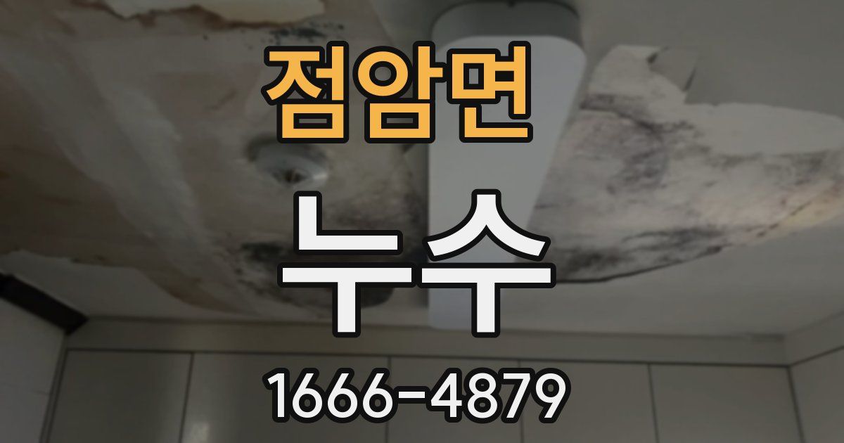점암면 누수