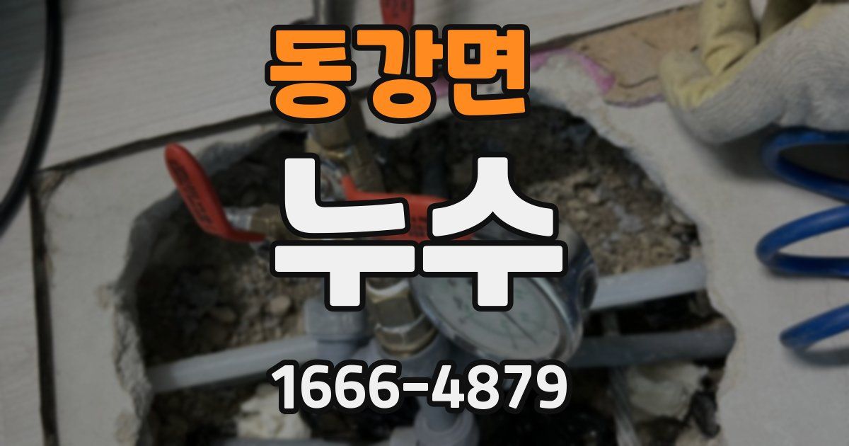 동강면 누수