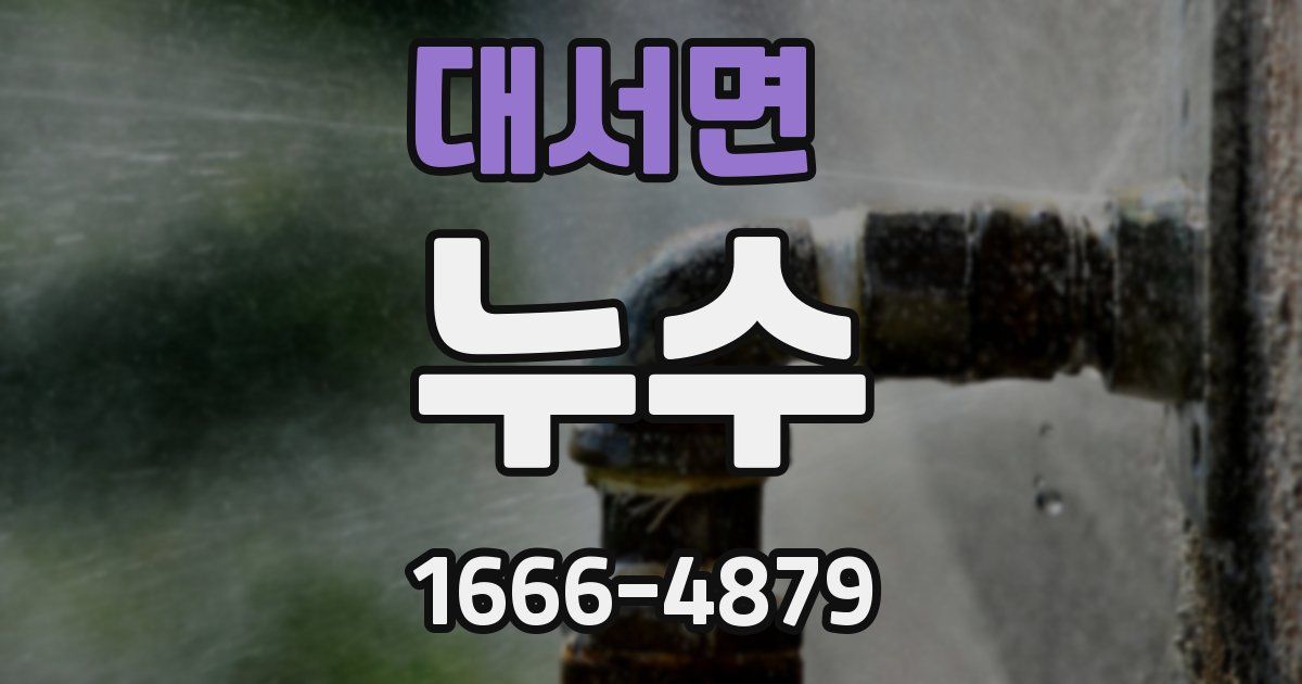 대서면 누수