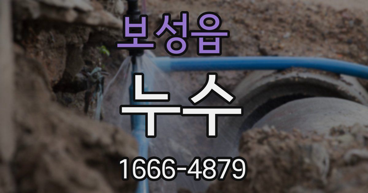 보성읍 누수