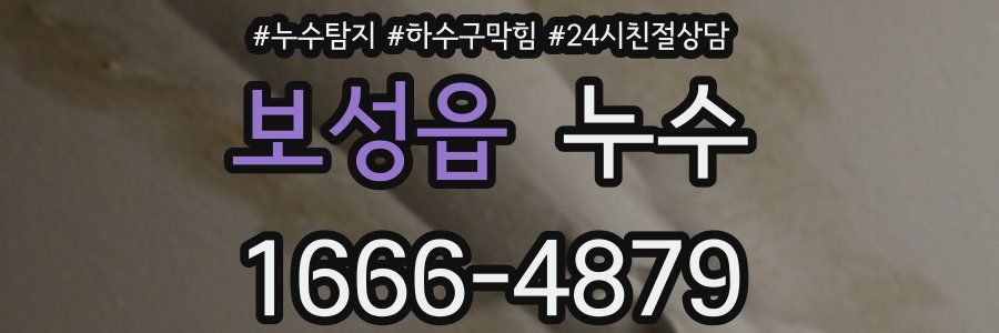 보성읍 누수