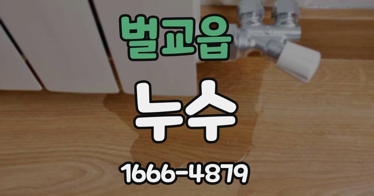 벌교읍 누수
