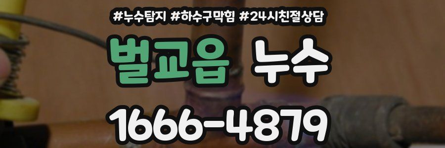 벌교읍 누수