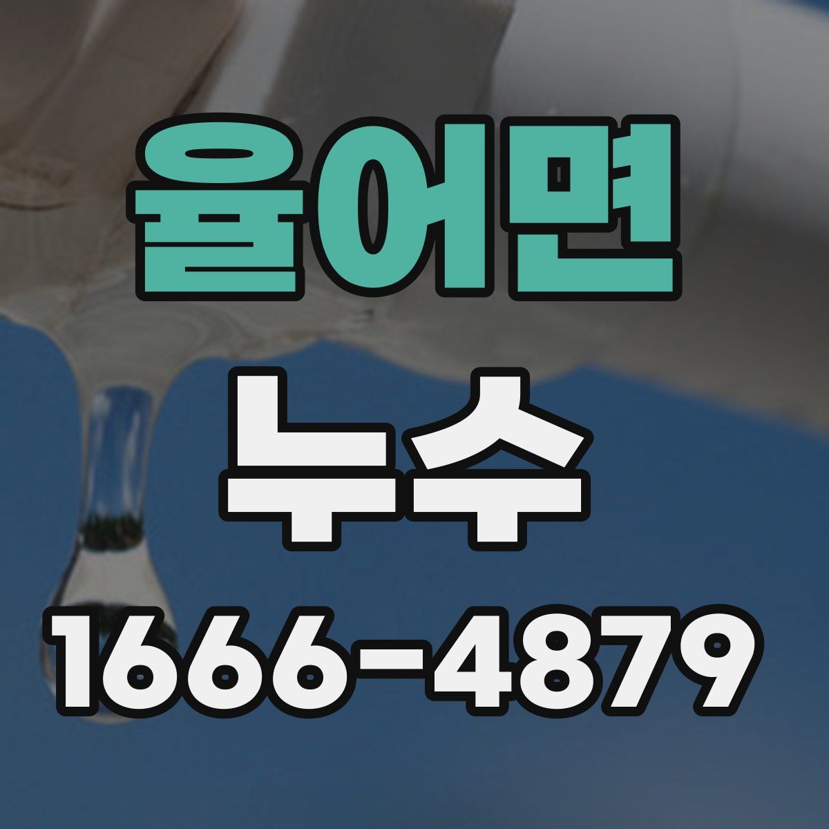 율어면 누수