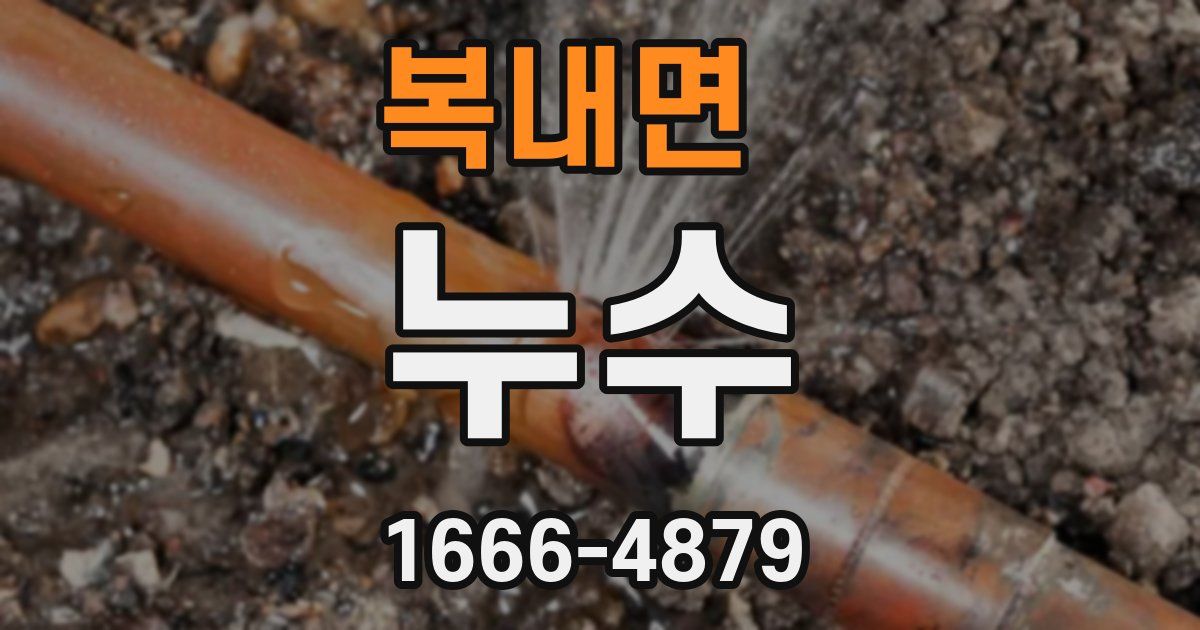 복내면 누수