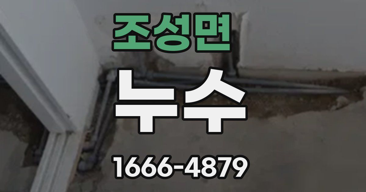 조성면 누수