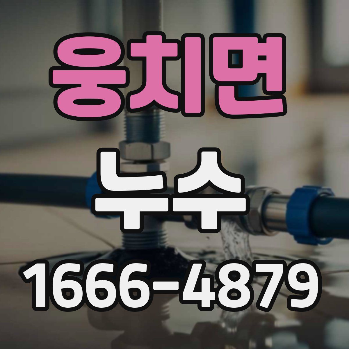 웅치면 누수
