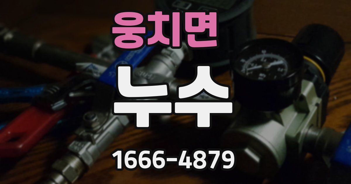 웅치면 누수