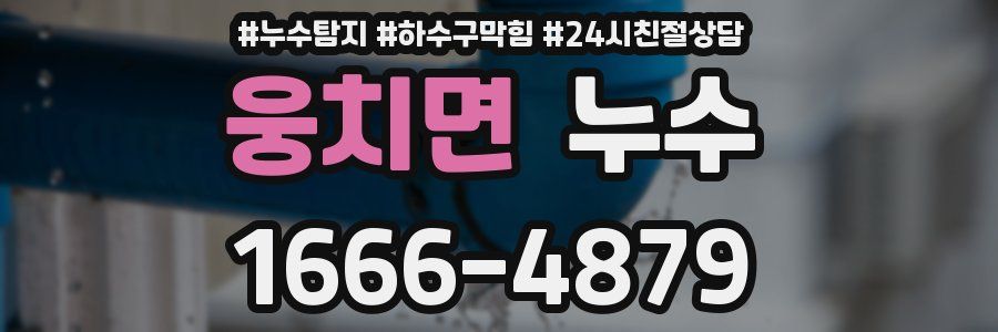 웅치면 누수