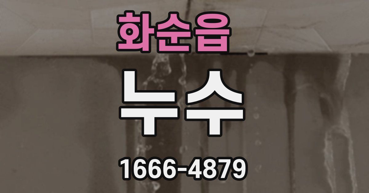 화순읍 누수