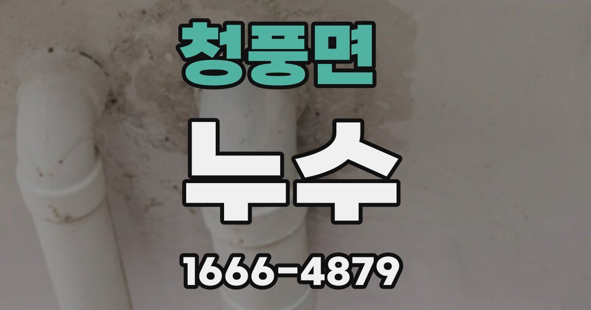 청풍면 누수