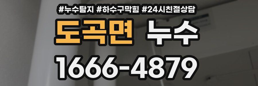 도곡면 누수