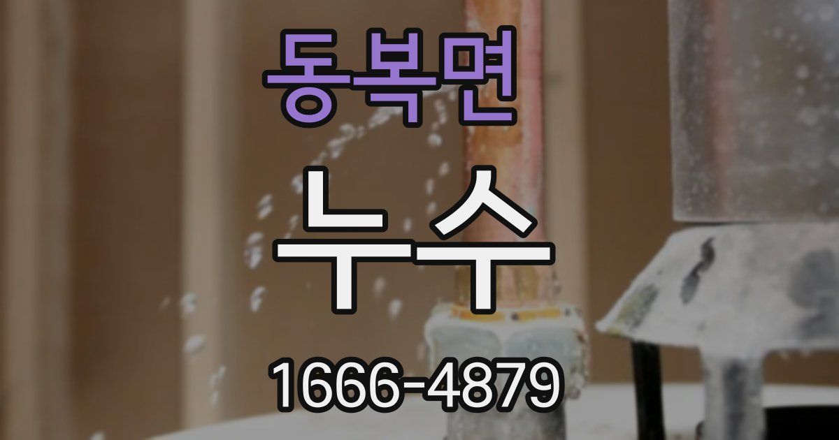 동복면 누수