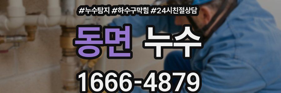 동면 누수