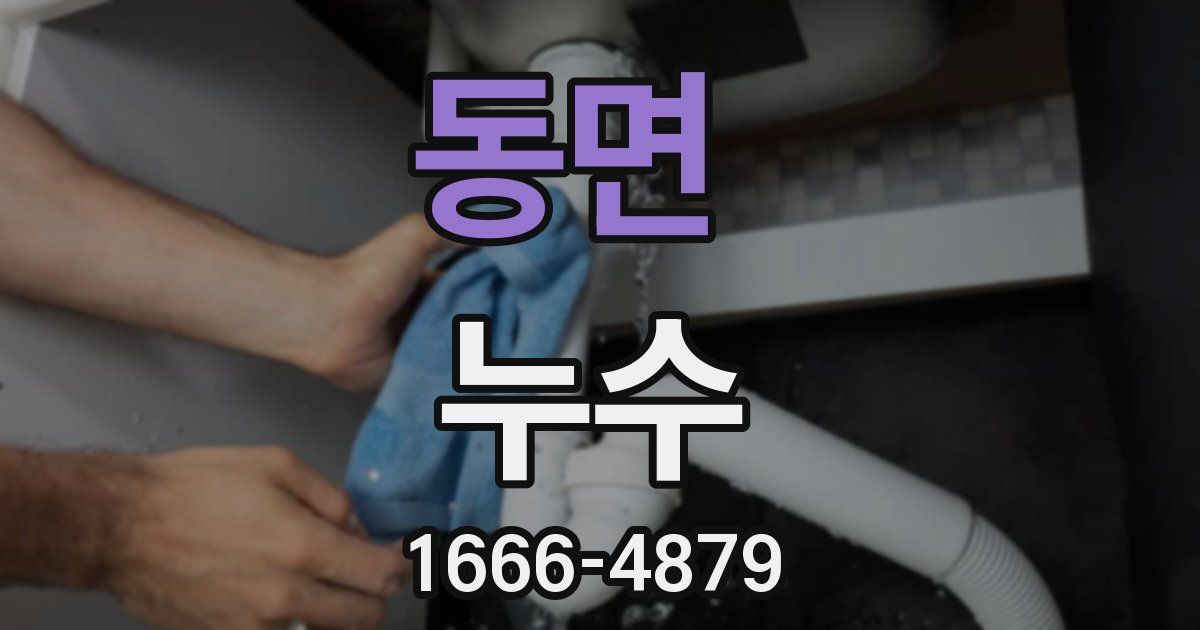 동면 누수