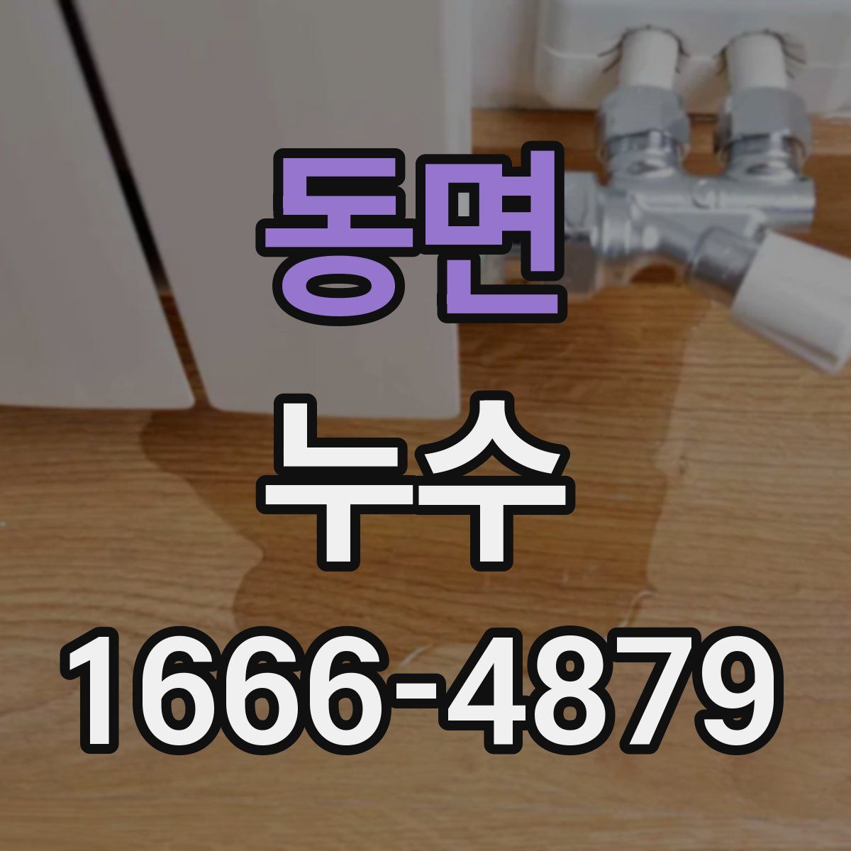 동면 누수
