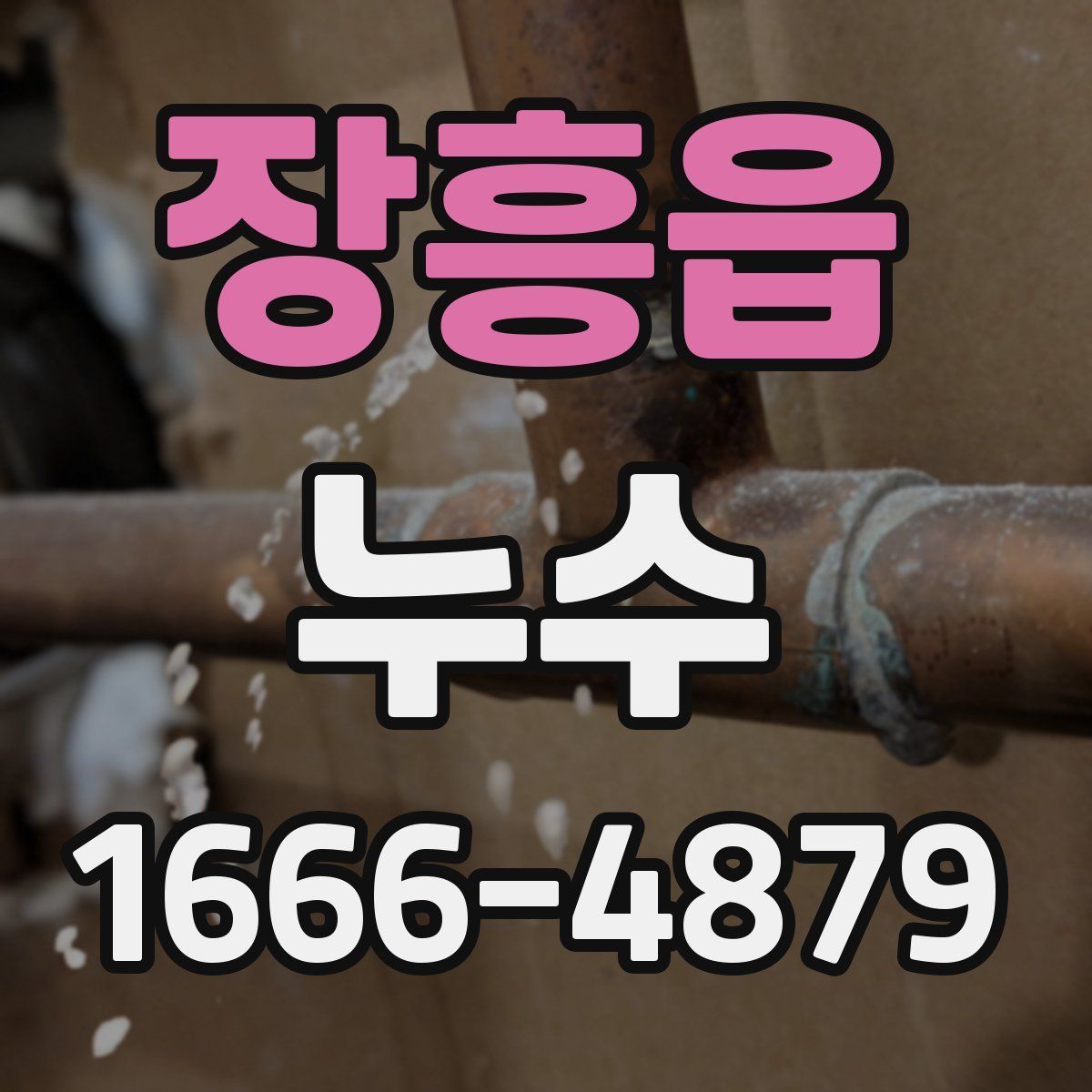 장흥읍 누수