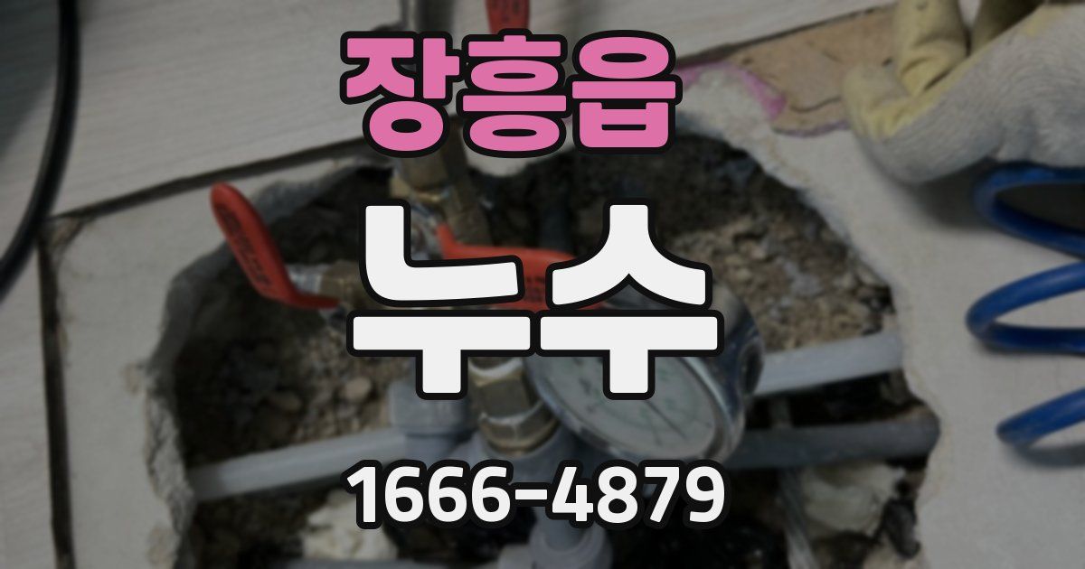 장흥읍 누수