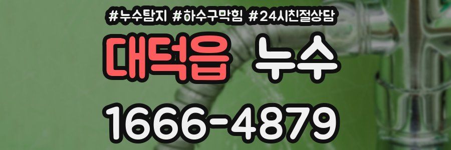 대덕읍 누수