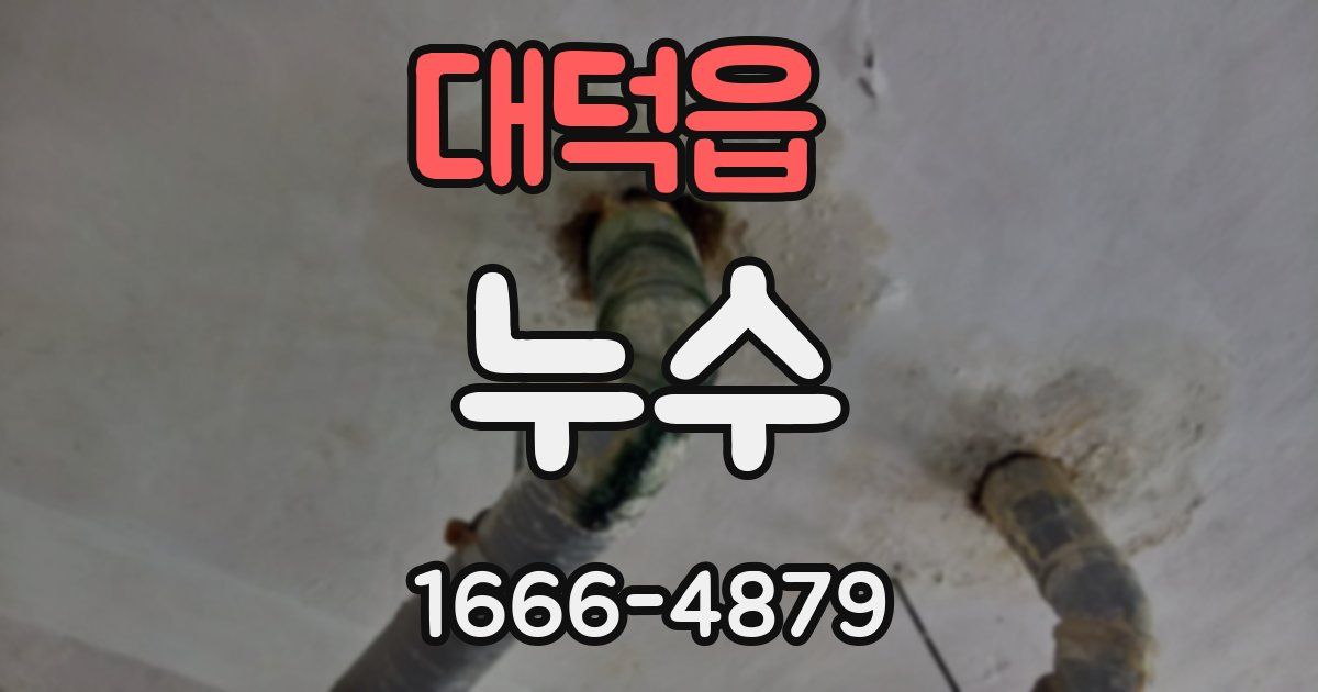 대덕읍 누수