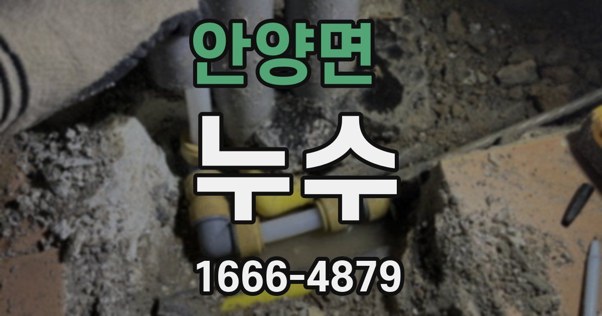 안양면 누수