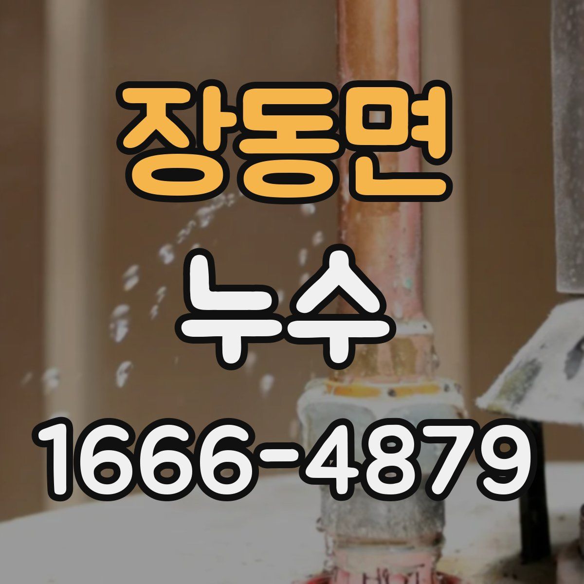 장동면 누수