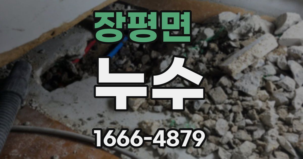 장평면 누수