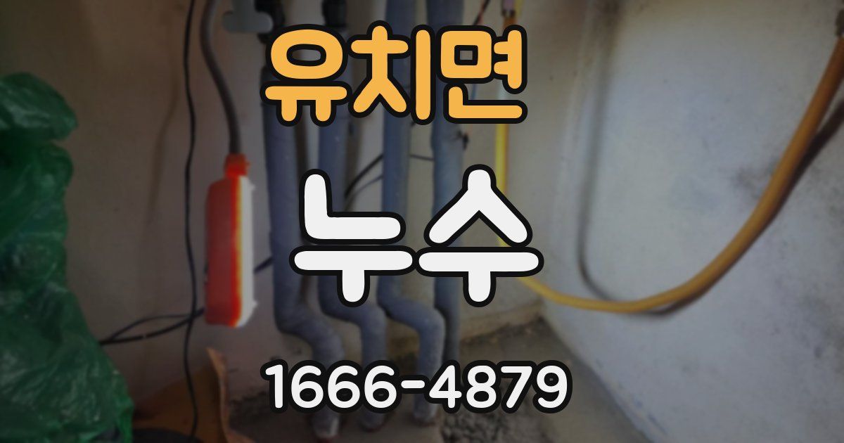 유치면 누수