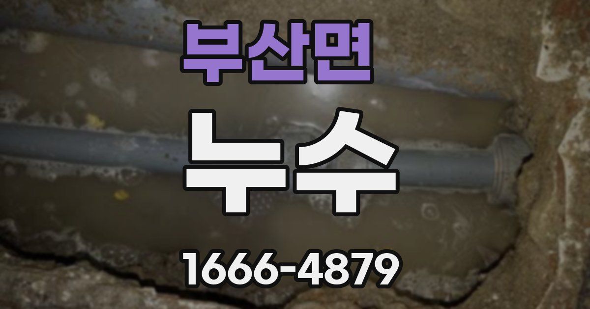 부산면 누수