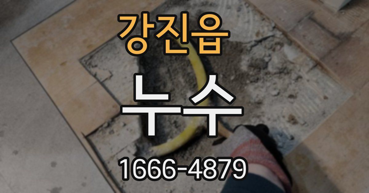 강진읍 누수