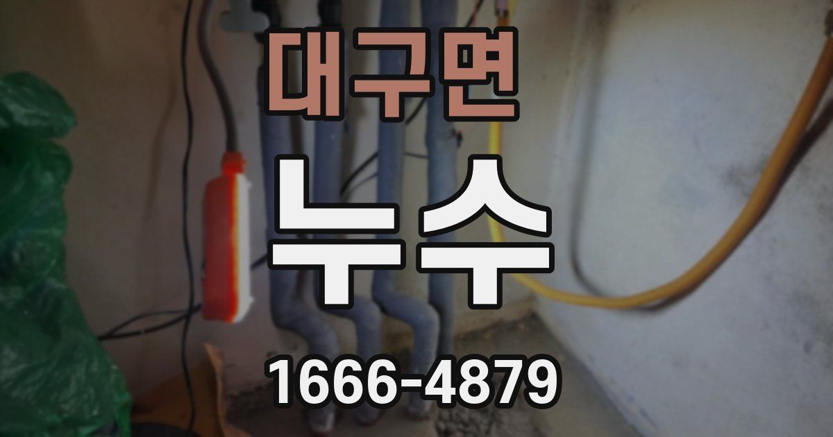 대구면 누수
