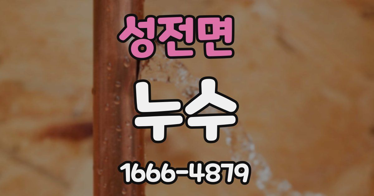 성전면 누수