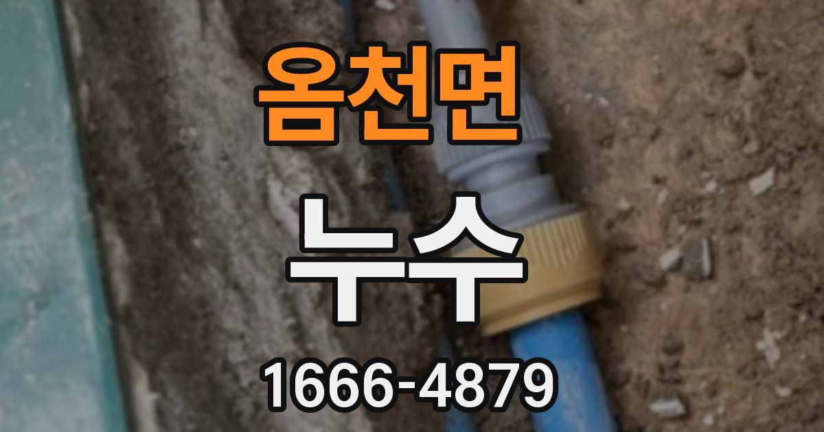 옴천면 누수