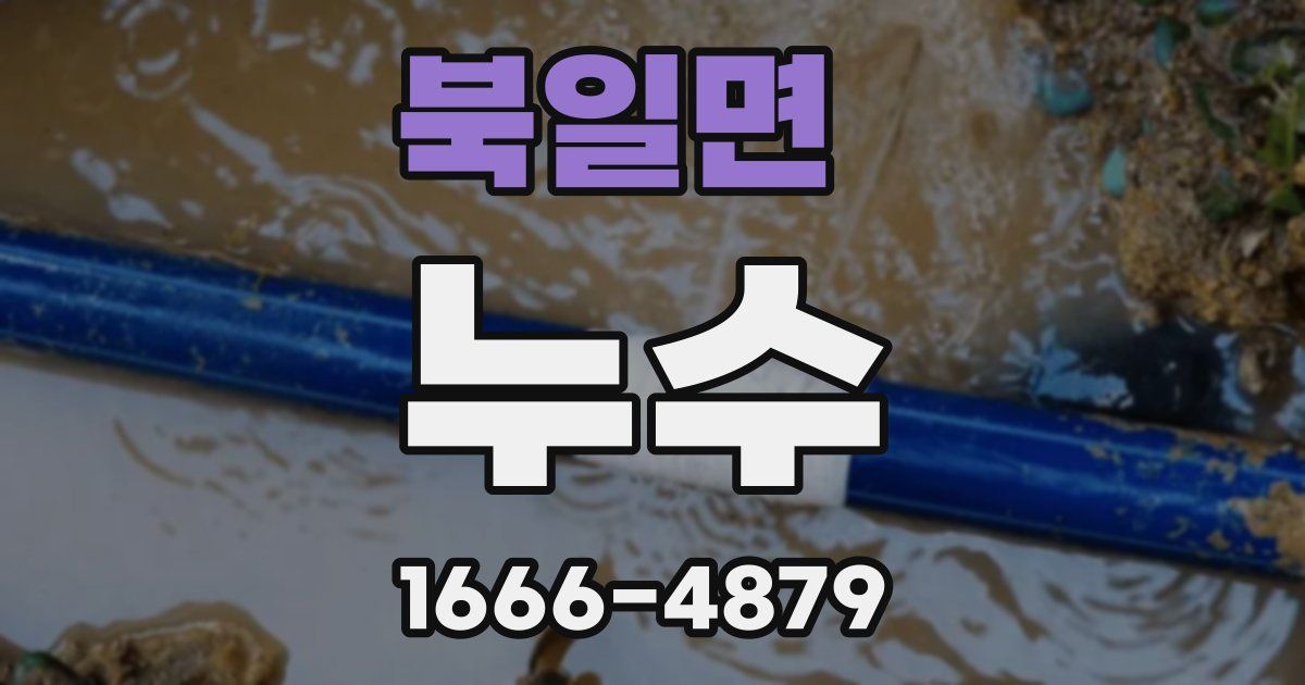 북일면 누수