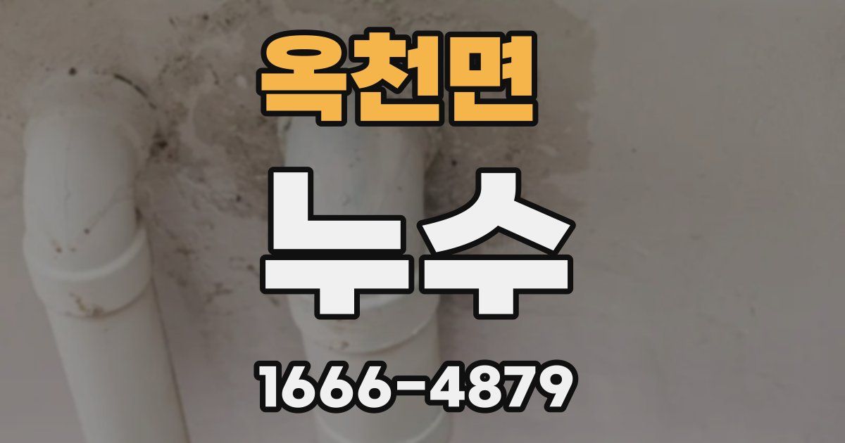 옥천면 누수