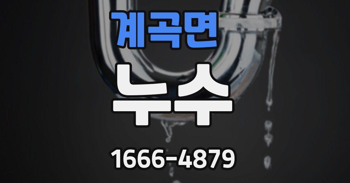 계곡면 누수