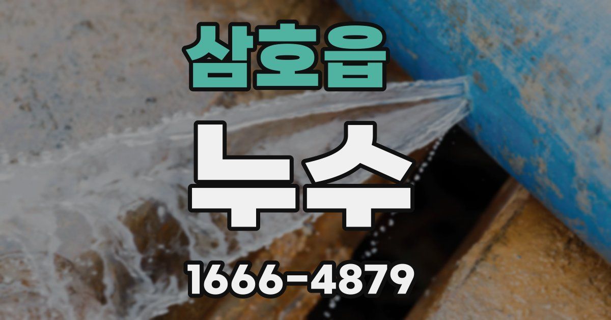 삼호읍 누수