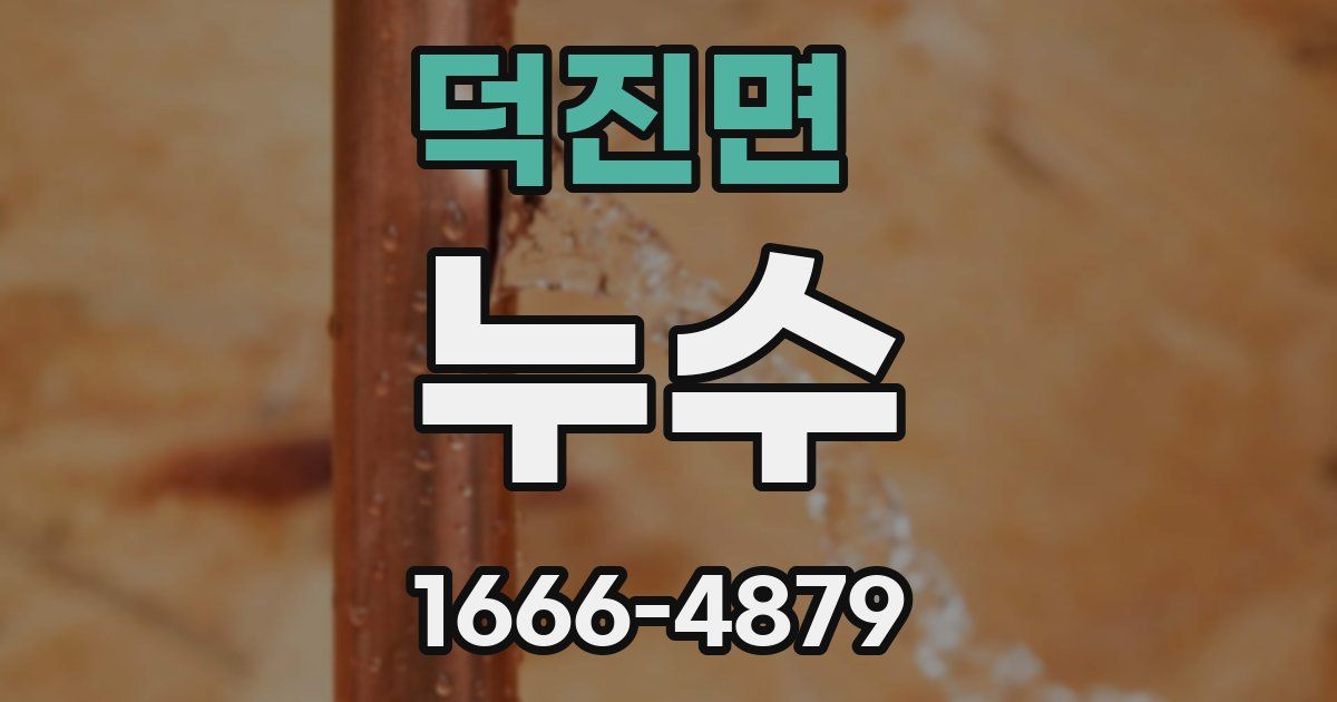 덕진면 누수