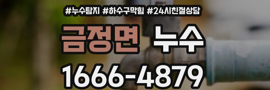 금정면 누수